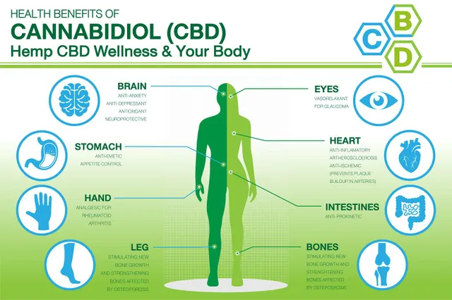Top 5 zdravstvenih dobrobiti CBD ulja — i pogled na nuspojave