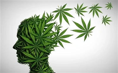 Kako koristiti CBD ulje za optimalne dobrobiti: Potpuni vodič?